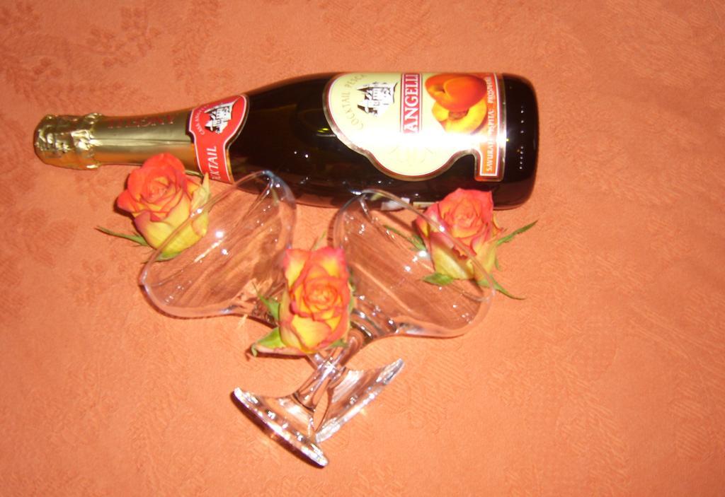 穆列什酒店 Topliţa 外观 照片